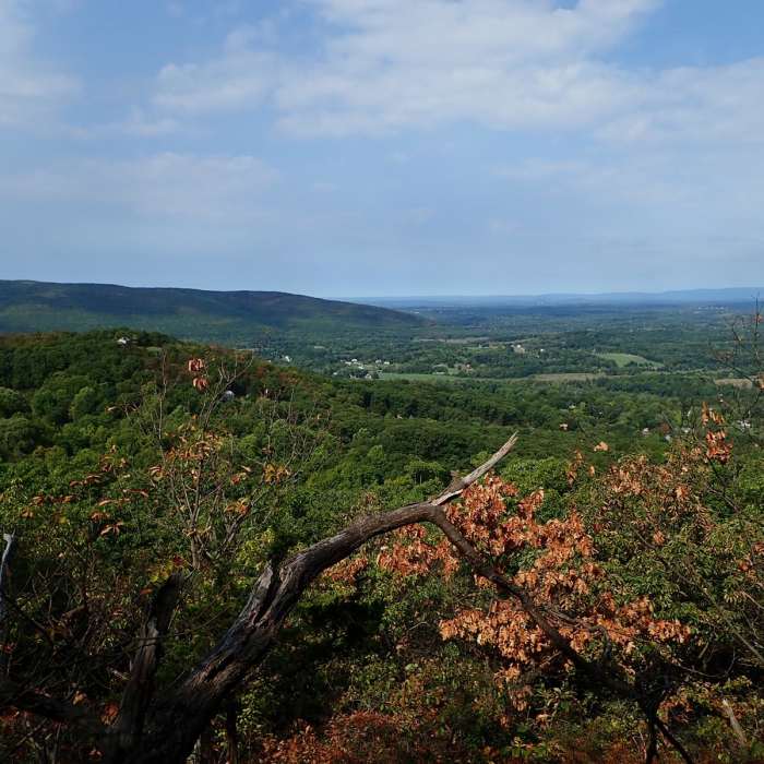 Near Sackett Ridge - Golden Ridge Loop