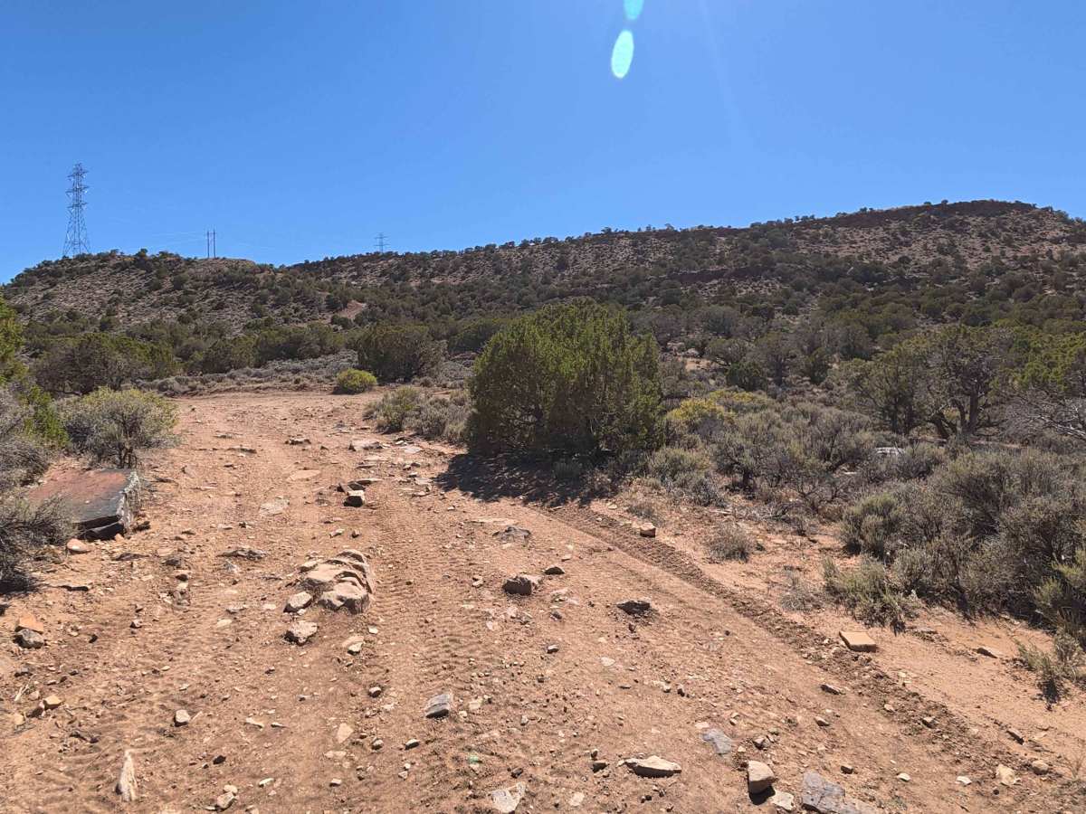 Shavano Loop photo 2
