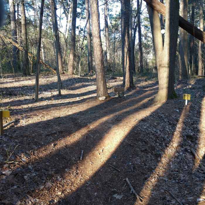 Near Enchanted Forest Loop