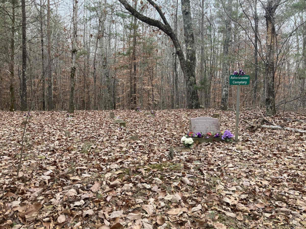 Bankhead Roads photo 2