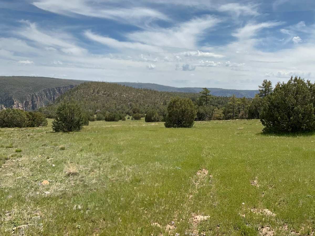 FS 9367B trail photo