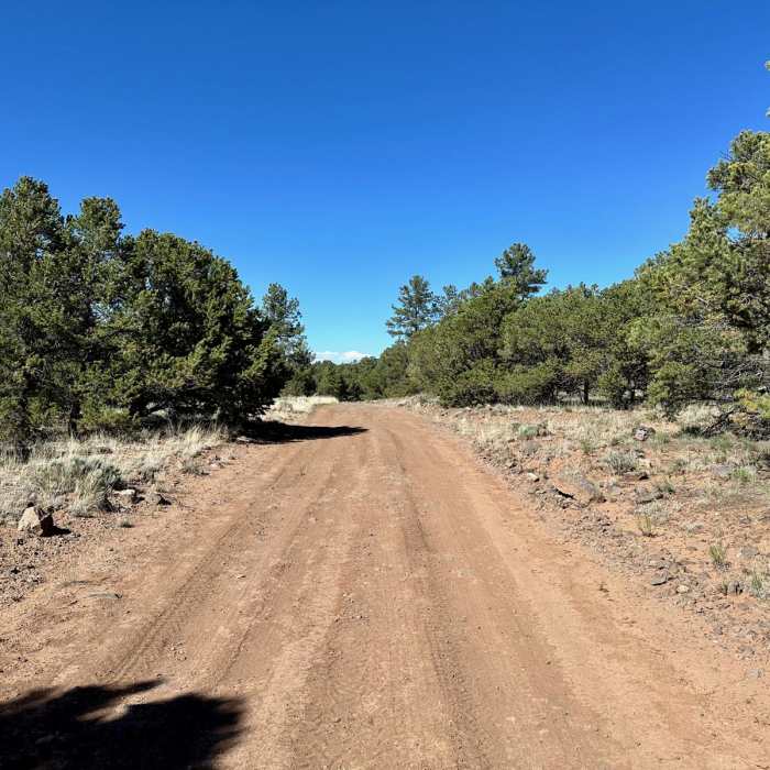 Near CDT: New Mexico Section 22 Near CDT: New Mexico Section 22
