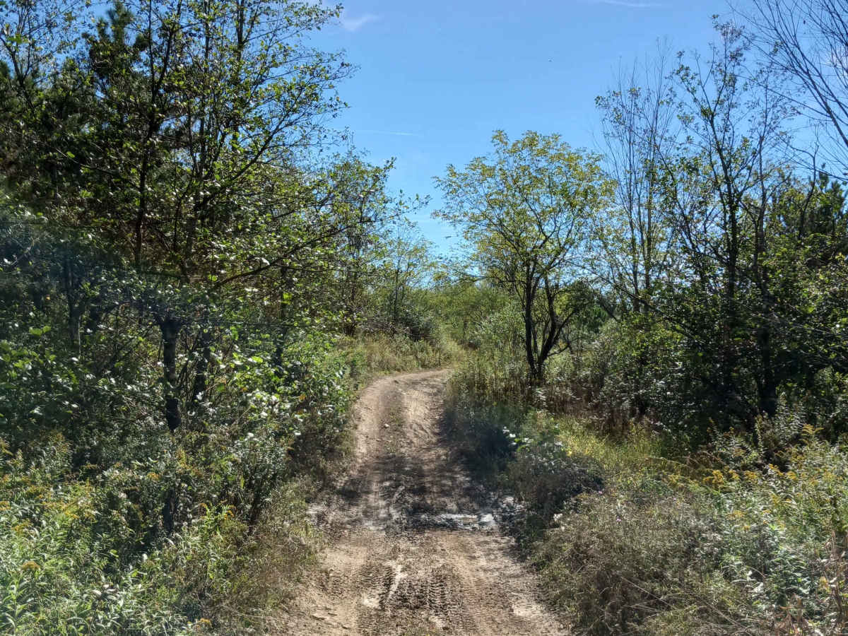 Trail 5D - Rock Run Recreation Area photo 3