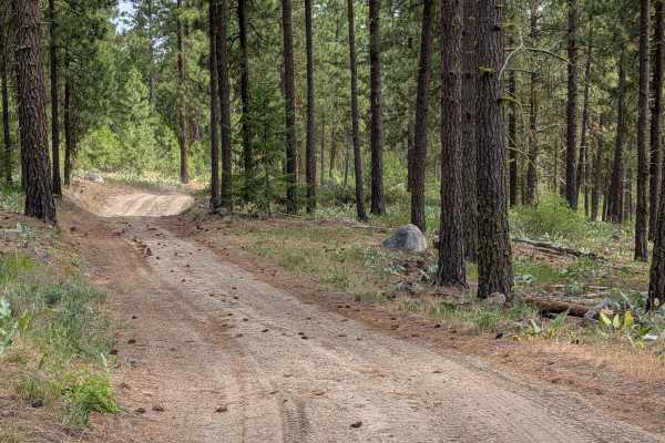 Golden Rule Road