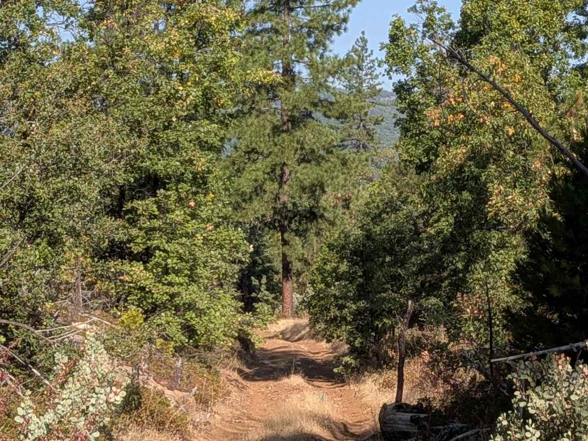 FS 2S41 trail photo