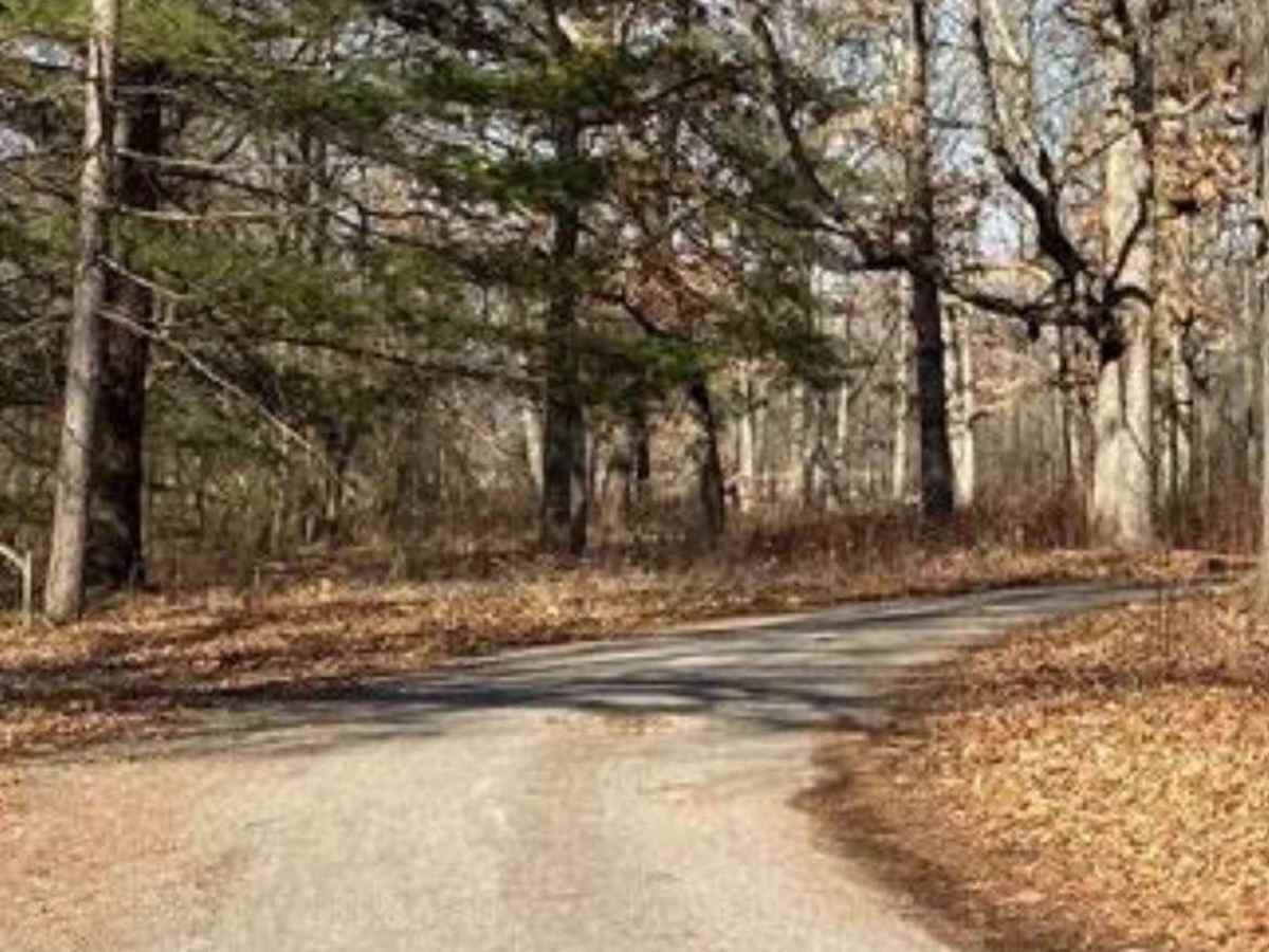 Nichol Road photo 5