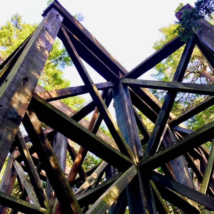 Near Brave Heart Trail