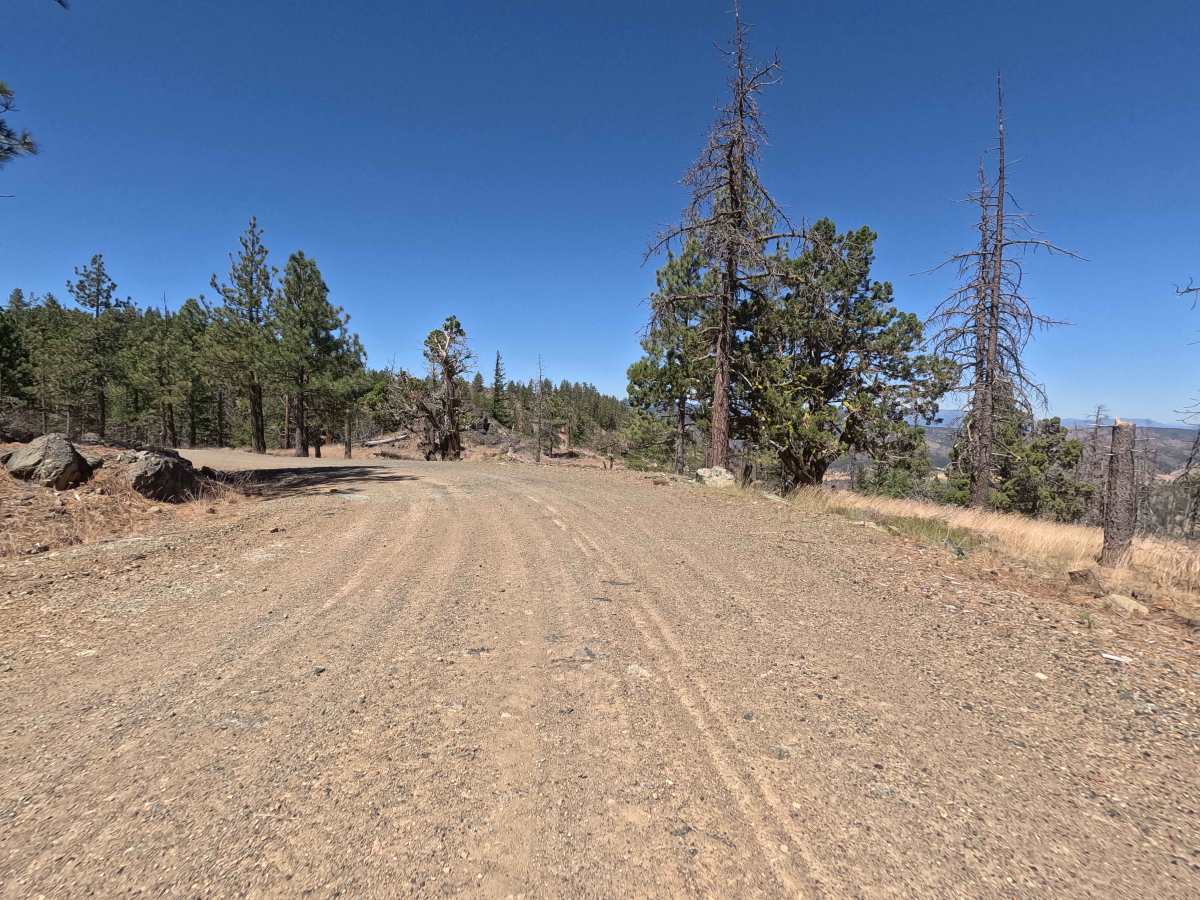 Kangaroo Lake View - FS 40N62 photo 6