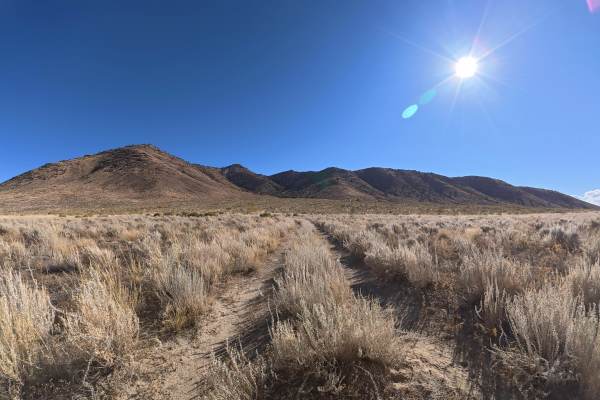 Cowhorn Hill