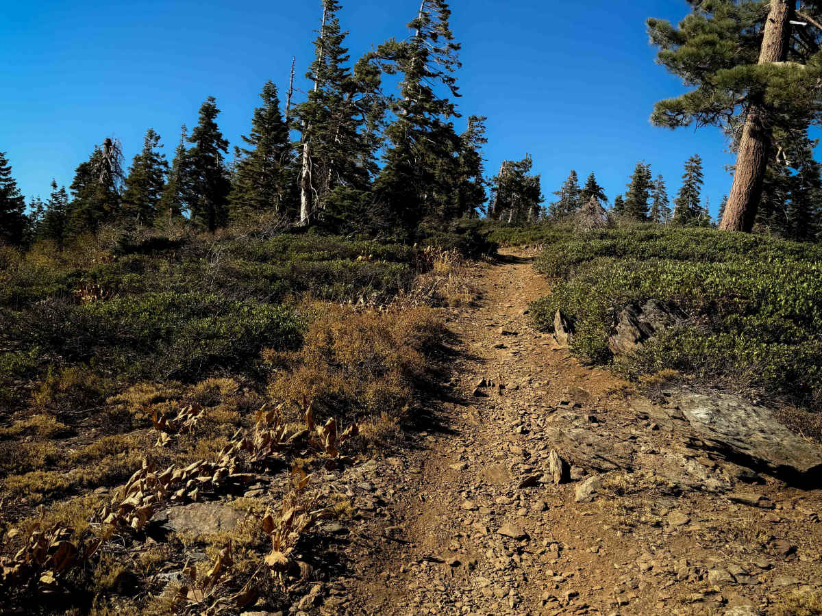 Gold Valley Connector  photo 4