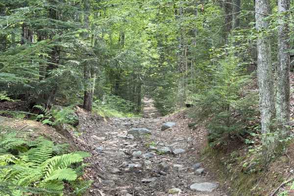 Bear Pond Road