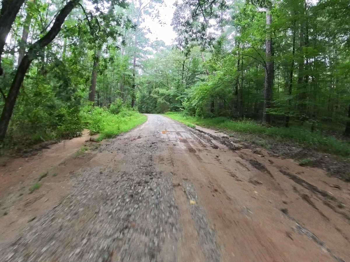 Monroe Tyler Road photo 3