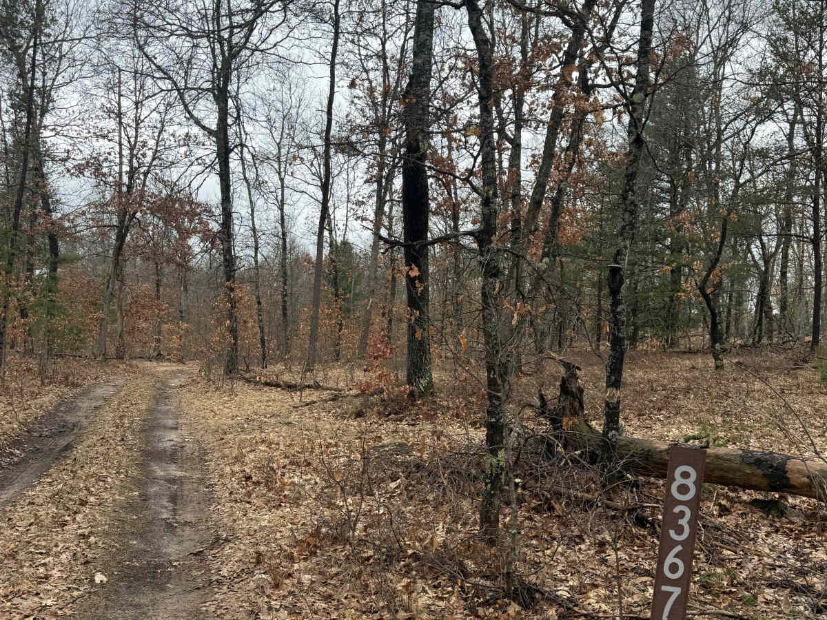 FS 8367 trail photo