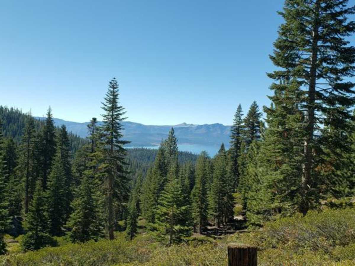 Genoa Peak Road - 41306 photo 5