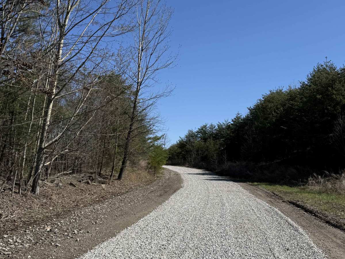 Q1 trail photo