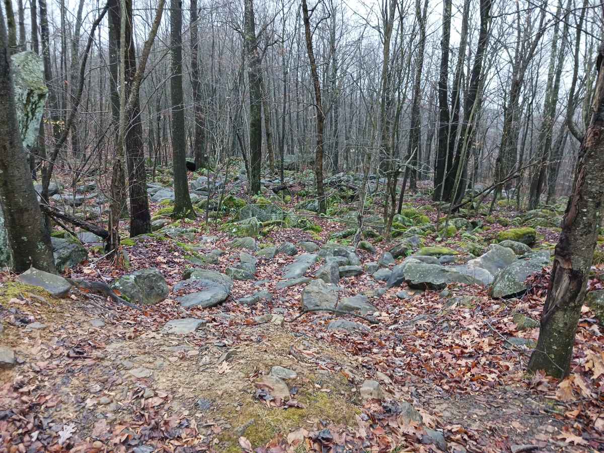 OHV 23 - Rock Run Recreation Area photo 3