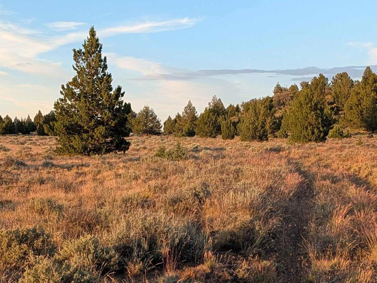 Panhandle Lake - FS 47N21 photo 2
