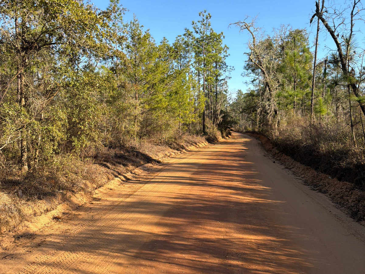 LL Wallace Road - FS 620 photo 3