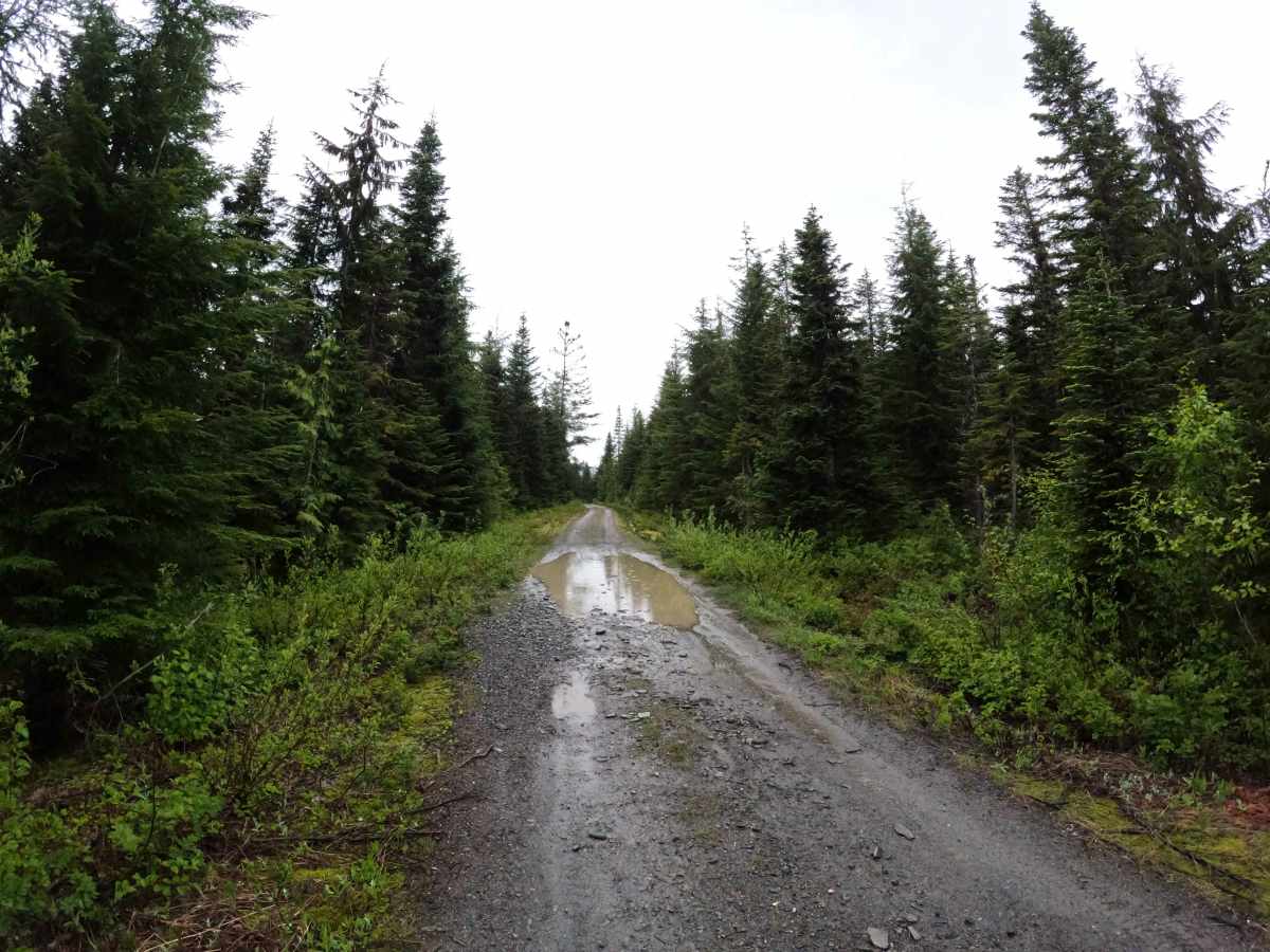 Leonard's Ridge - FS 1709 photo 2