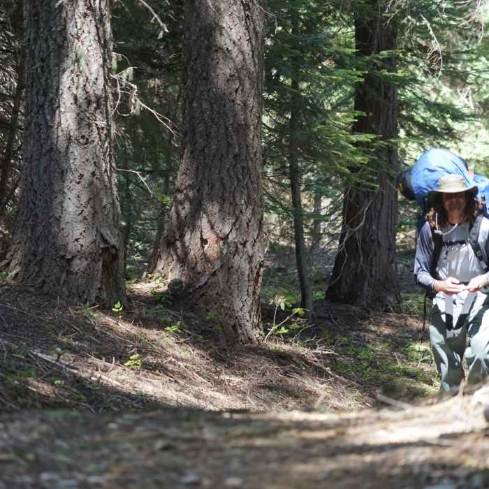 At the trailhead, sometimes the pack is a bit lopsided at the start. Near Hinkle Lake Trail