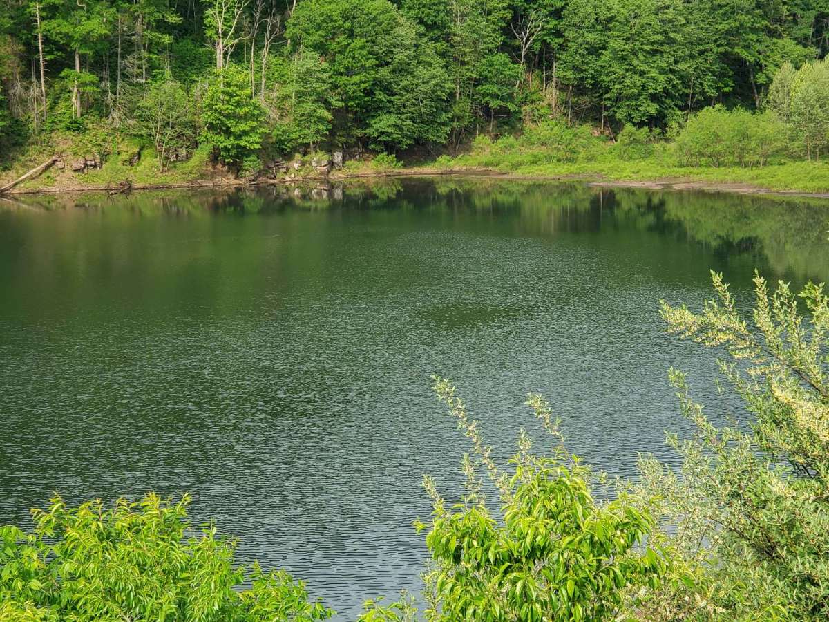 Hone Quarry photo 4