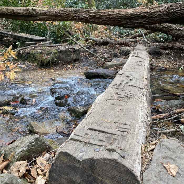 Near Springer Mountain