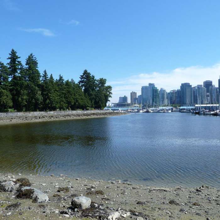 Near Stanley Park Seawall