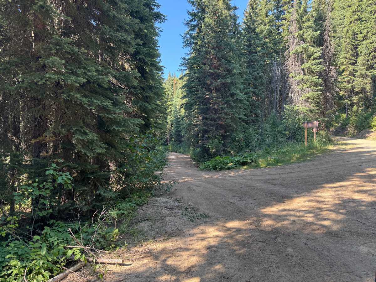 4W-7736 - Big Flat Trail photo 3