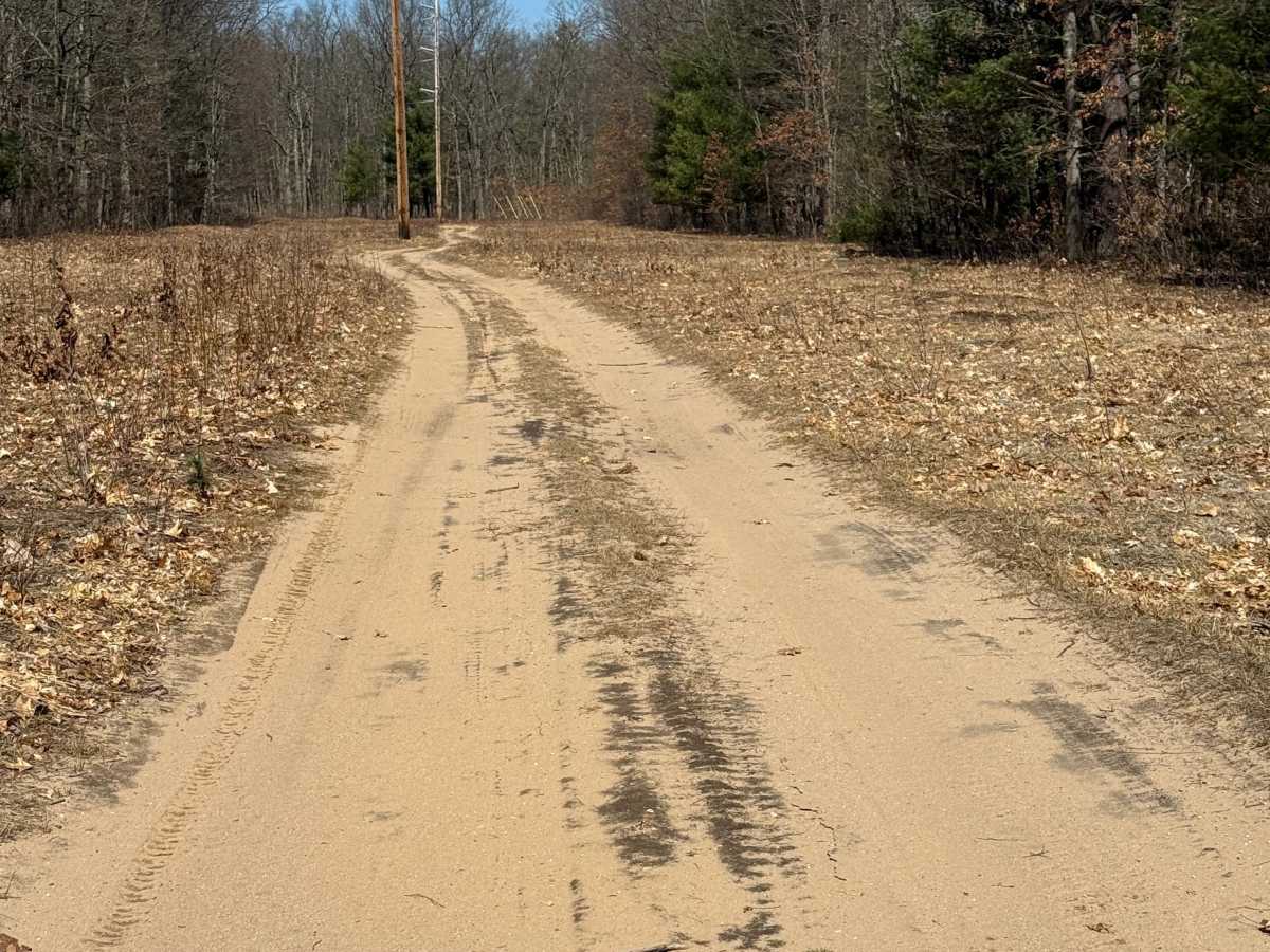 FS 8783 trail photo