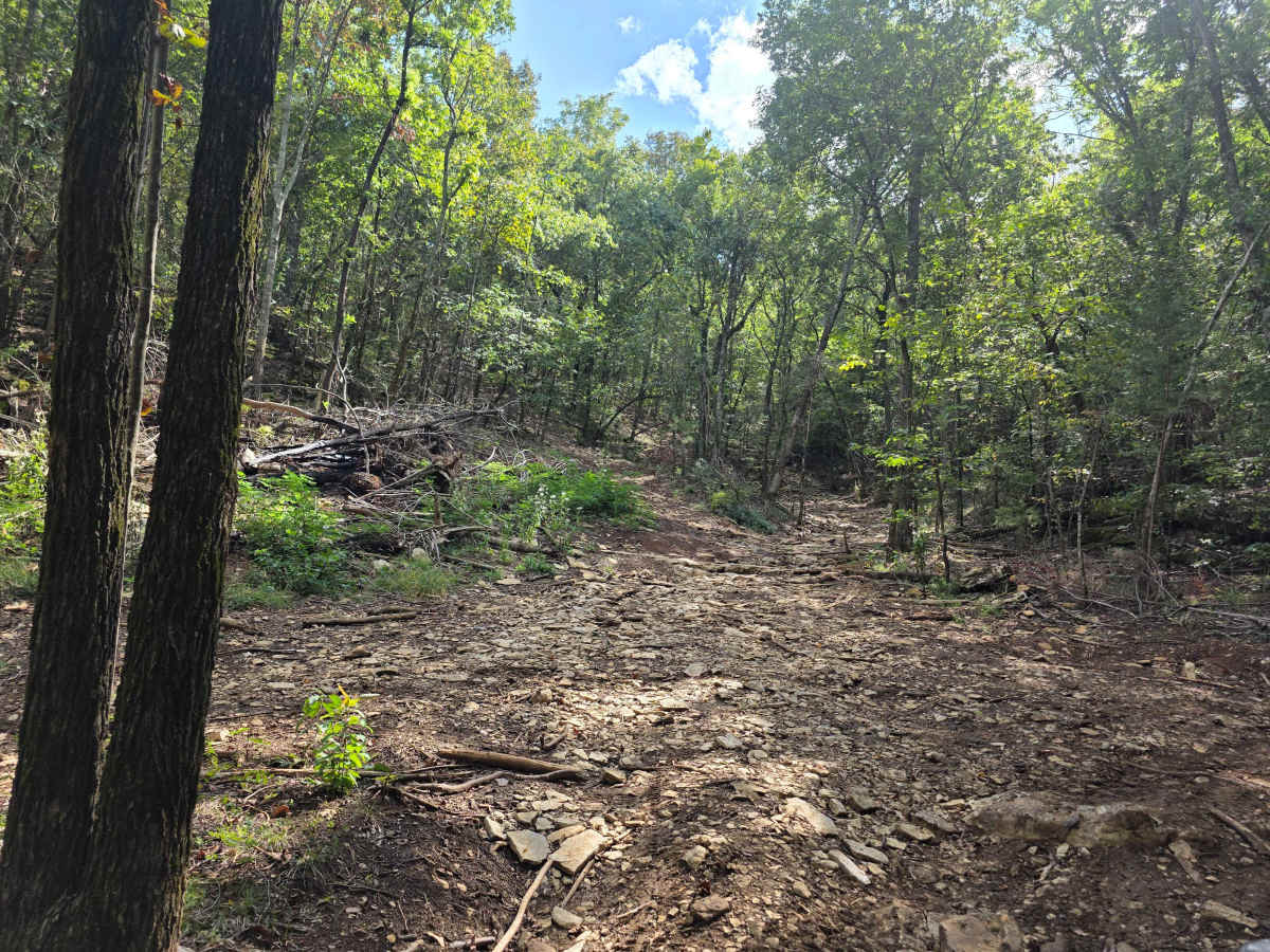 Homestead photo 6