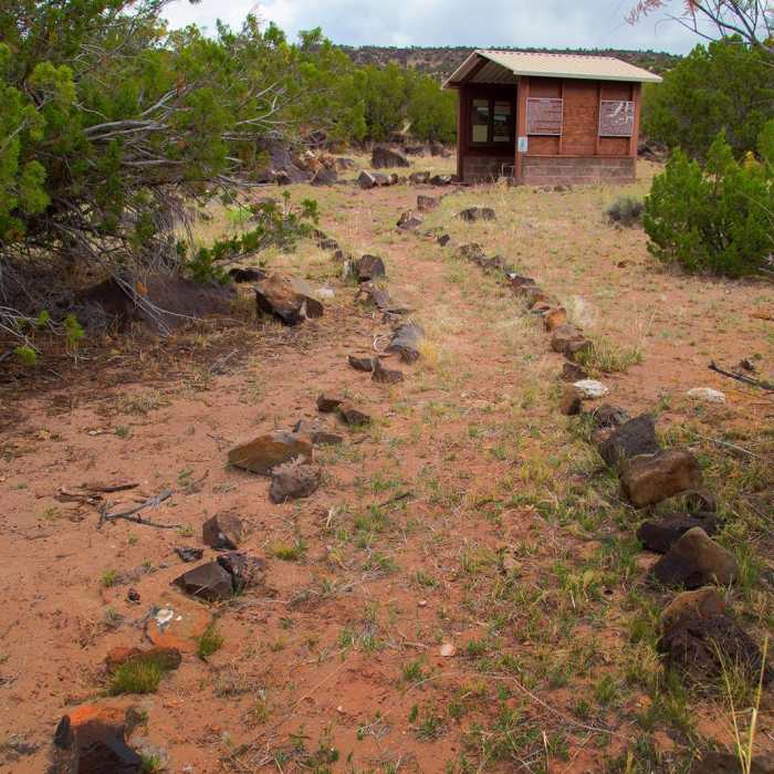 Near Ultimate Petroglyph Trail