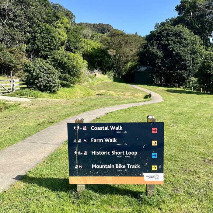 Near Tapapakanga Coastal Walk Near Tapapakanga Coastal Walk