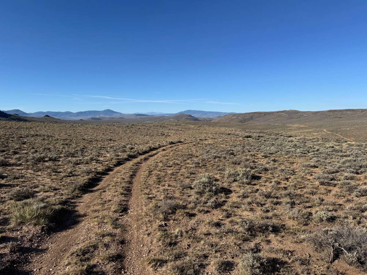 BLM 3102A photo 2