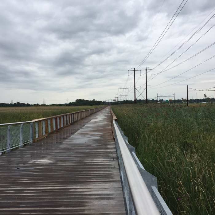 On the boardwalk in the marsh Near Jack A. Markell Trail