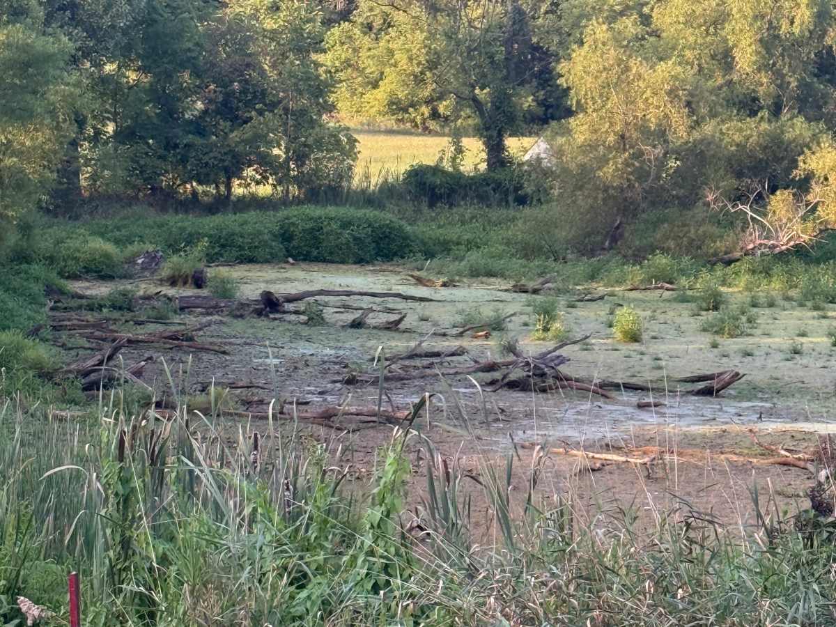 East Schafer Trail photo 3