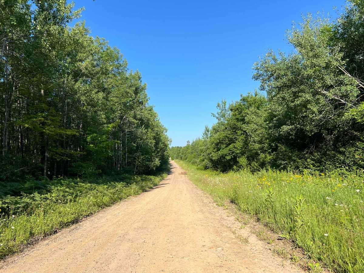 Star Lake Road photo 2