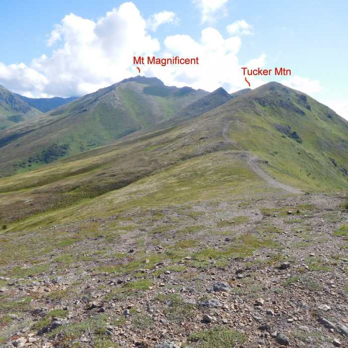 Near Mount Magnificent Route