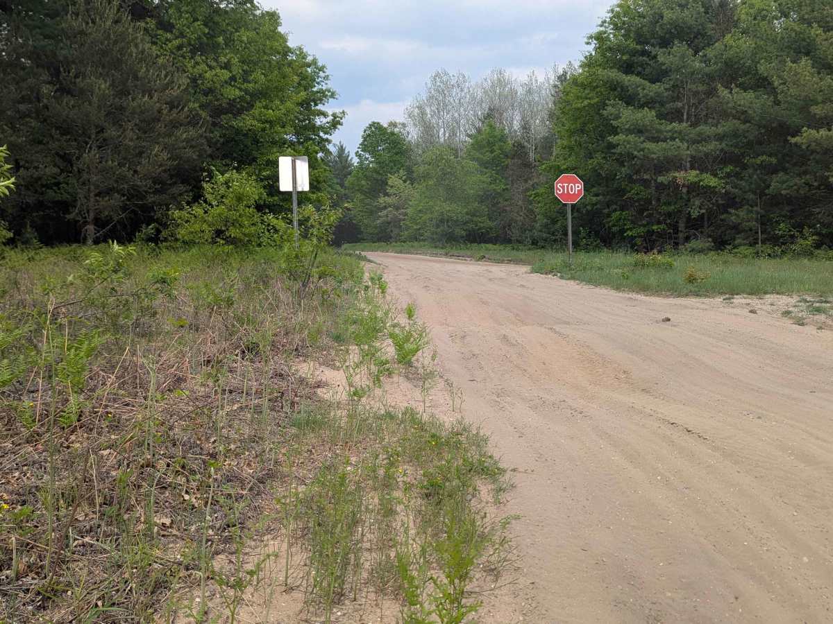 Geels Loop trail photo