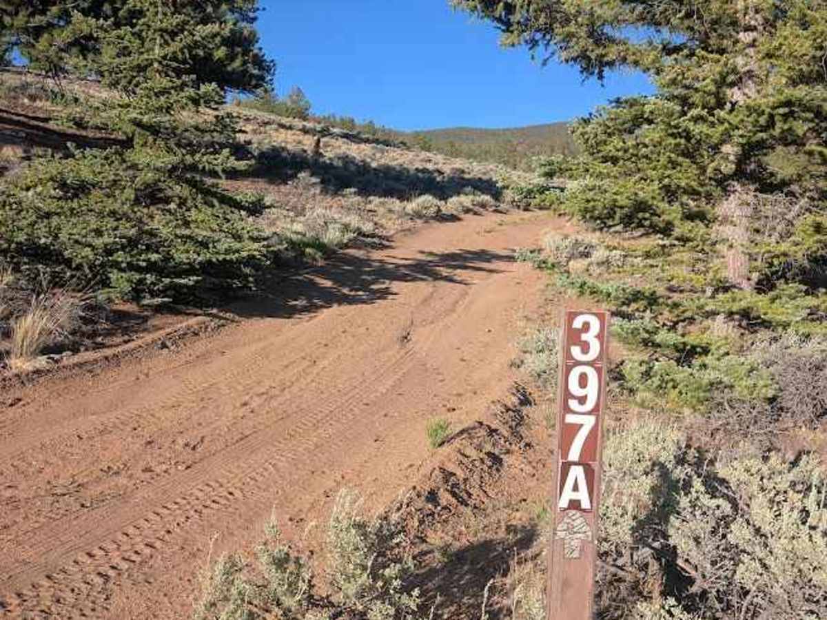 Poacher's Loop trail photo