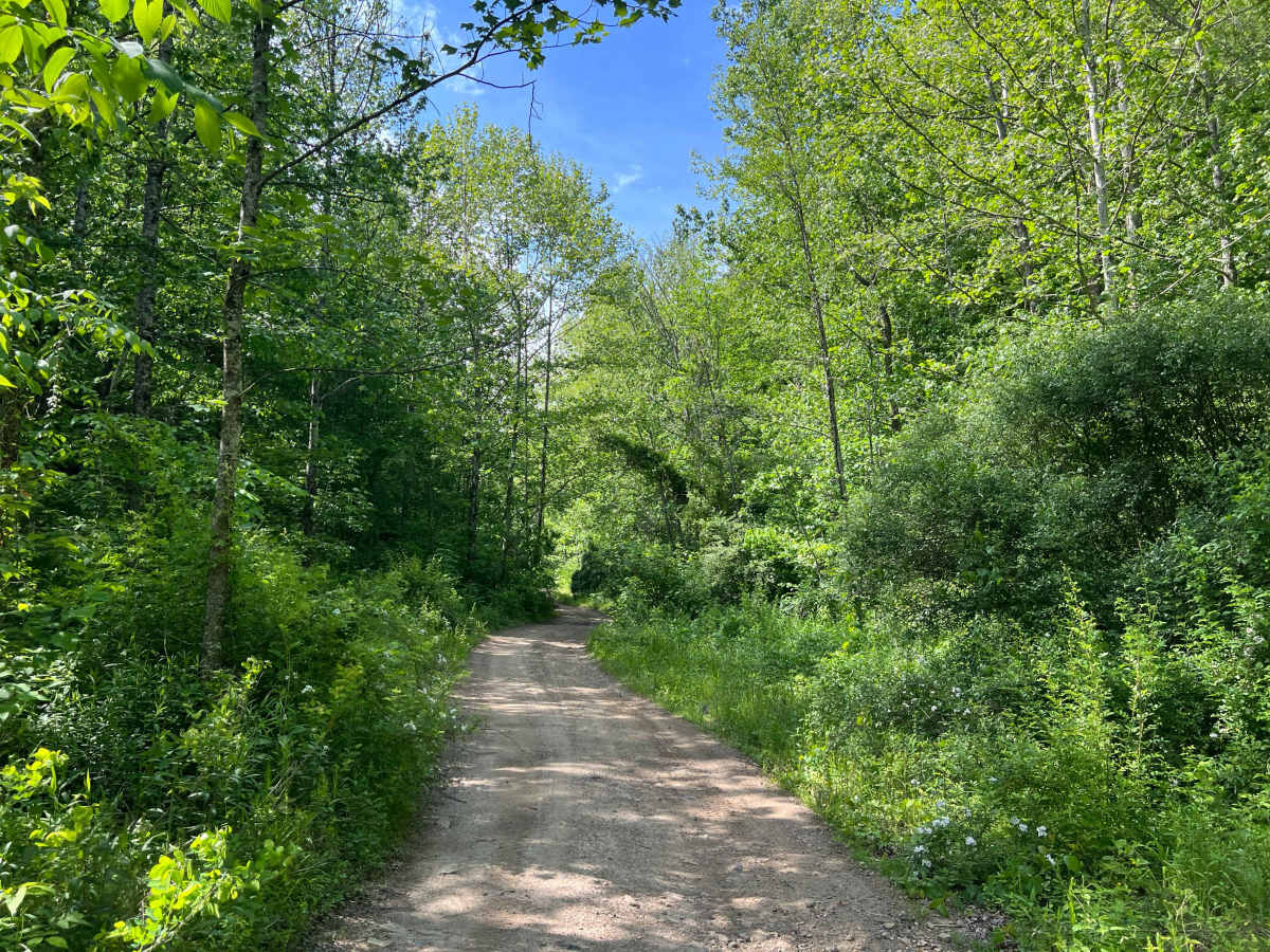 Bufflick Branch Trail - Q76 photo 3