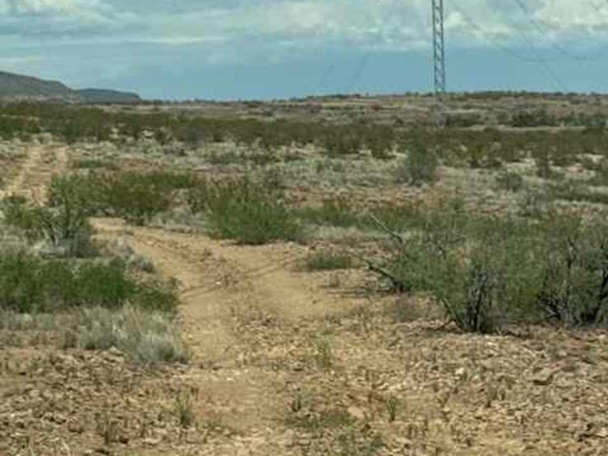 BLM SS1044 photo 4