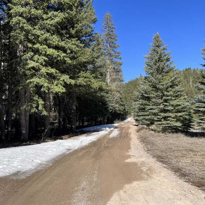 Near Arizona Trail Passage 39: Grand Canyon - North Rim