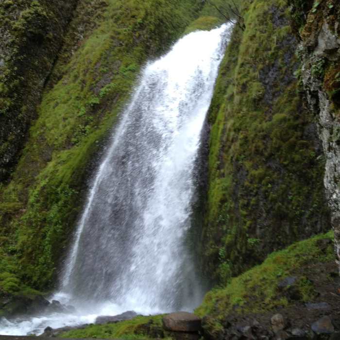 Near Wahkeena Trail #420