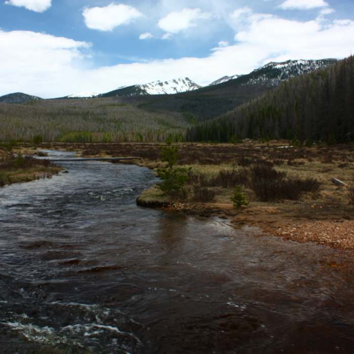 Near Green Mountain Trail