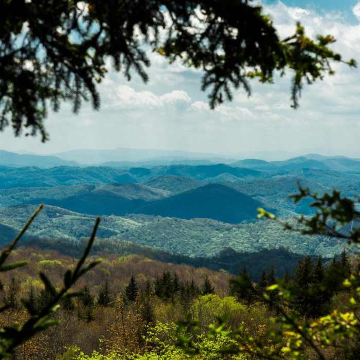 Near Massie Gap to Mt Rogers Summit Out and Back