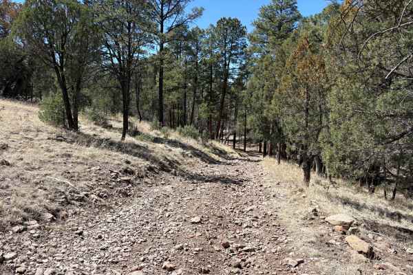 Lincoln Canyon Road - FS 4079T