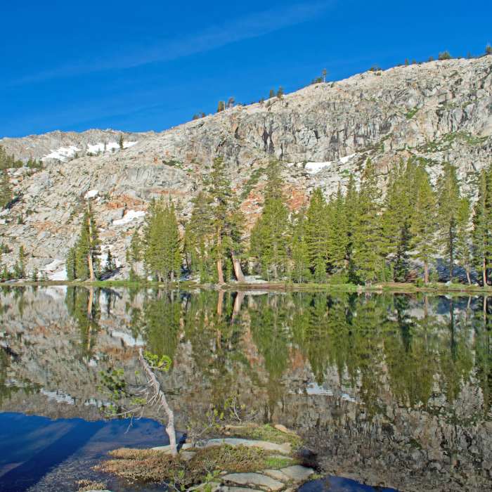 Near Rutherford and Anne Lakes