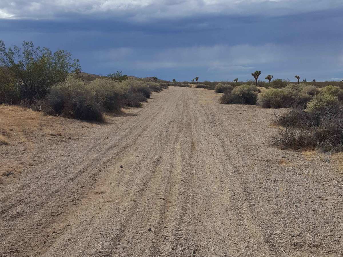 Waldheim Wash photo 3