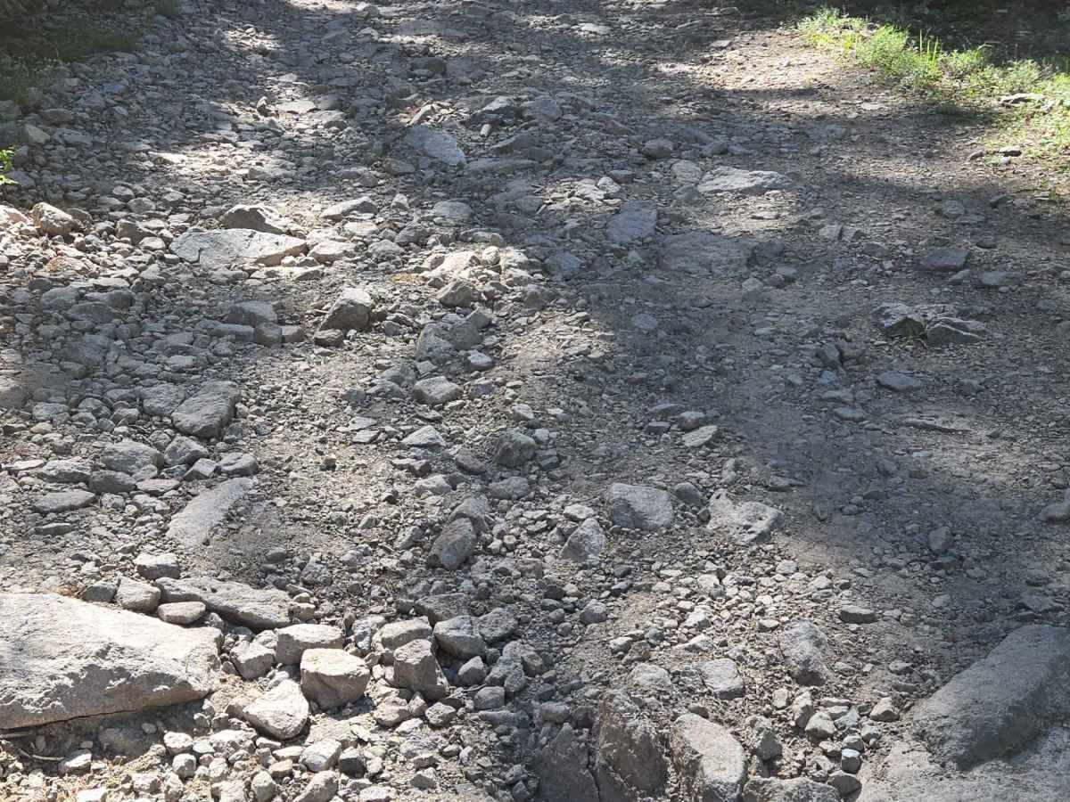 Black Mountain Road photo 5
