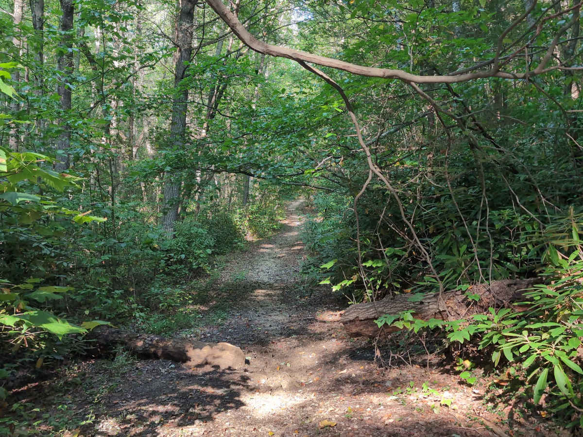 Virginia Highlands Horse Trail photo 3